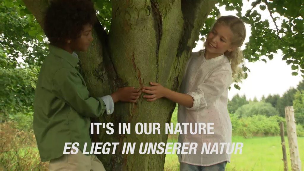 Sikkens Wood Finishes