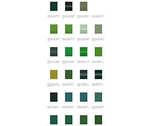 thumbnail for St Patrick's Day story, 2025