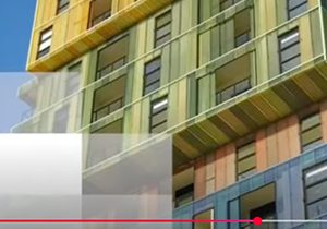 Thumbnail for Interpon blog post 2025